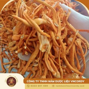 Khách hàng nói gì về sản phẩm đông trùng hạ thảo sấy thăng hoa