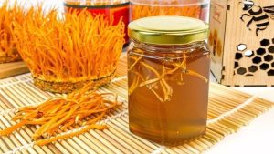 MẬT ONG ĐÔNG TRÙNG HẠ THẢO: BÍ KÍP CHỐNG LÃO HÓA HIỆU QUẢ